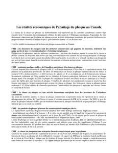 Les réalités économiques de l`abattage du phoque au Canada