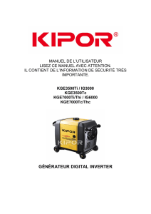 générateur digital inverter