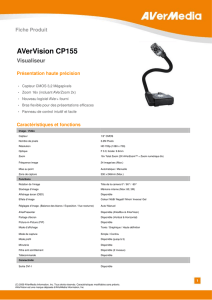 AVerVision CP155