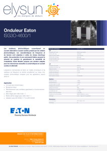 Onduleur Eaton ISG3O-4600/1