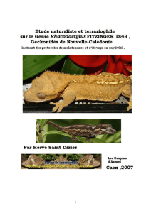 Etude Naturaliste et Terrariophile sur le Genre Rhacodactylus