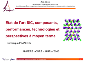 Composants de puissance en Sic, état de l`art