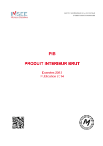 Rapport PIB 2013