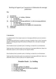 Briefing de l`agence par l`annonceur et élaboration