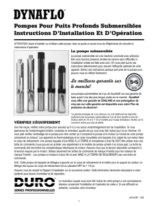 Pompes Pour Puits Profonds Submersibles Instructions D