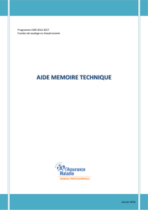 aide-mémoire technique national V7