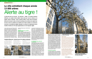 La ville entretient chaque année 13 000 arbres. Alerte au tigre