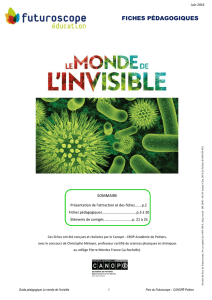 Fiches pédagogiques "Le Monde de l`invisible"