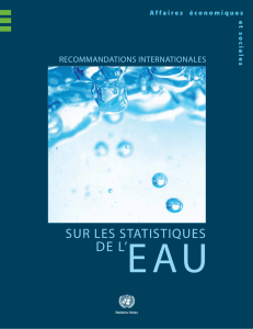 Recommandations internationales sur les statistiques de l`eau