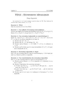 TD13 : Extensions séparables