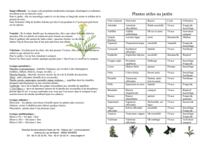 Plantes utiles au jardin