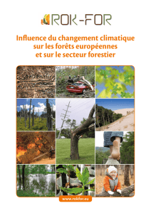 Influence du changement climatique sur les forêts