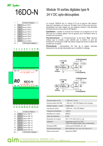 16DO-N Module 16 sorties digitales type N 24 V DC opto