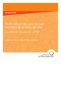 Profil culturel des pays du sud membres de la Francophonie