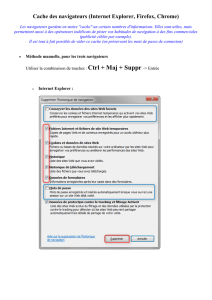 Cache des navigateurs (Internet Explorer, Firefox