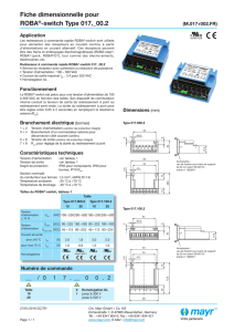 Fiche dimensionnelle pour ROBA®-switch Type 017._00.2