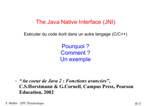 The Java Native Interface (JNI) Pourquoi ? Comment ? Un exemple