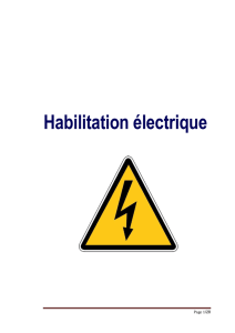 Sécurité Electrique et Habilitation