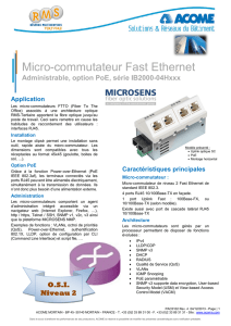 Micro-commutateur Fast Ethernet