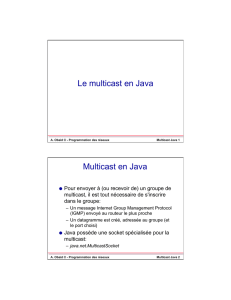 Le multicast en Java Multicast en Java