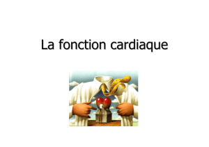 La fonction cardiaque