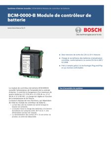 BCM‑0000‑B Module de contrôleur de batterie
