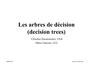 Les arbres de décision (decision trees)