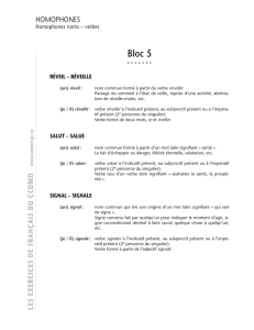 Bloc 5 - ccdmd