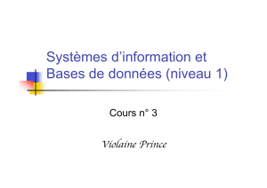 Systèmes d`information et Bases de données (niveau 1)