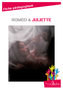 Fiche Roméo et Juliette-Administrateur