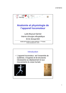 Anatomie et physiologie de l`appareil locomoteur