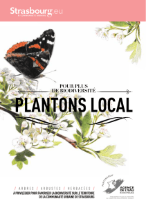 Guide plantons local