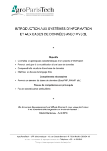 introduction aux systemes d`information