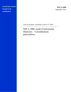 NPCA 1000, Audit d`instruments financiers