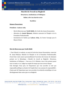 Marché du Travail au Maghreb