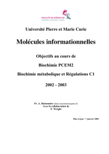 Molécules informationnelles - CHUPS – Jussieu