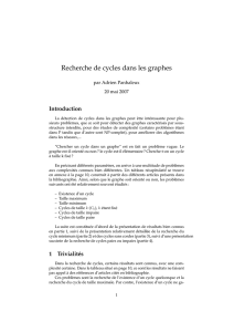 Recherche de cycles dans les graphes