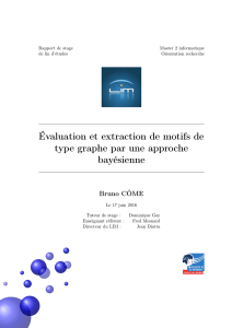 Évaluation et extraction de motifs de type graphe par une approche