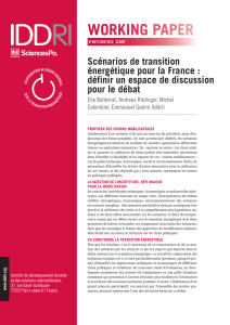 Scénarios de transition énergétique pour la France : définir un