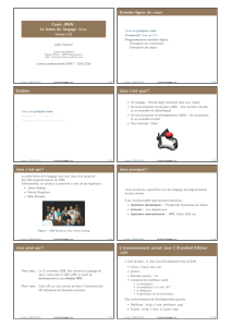 Le bases du langage Java.