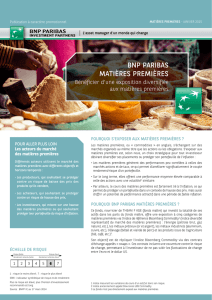 bnp paribas matières premières - BNP Paribas Investment Partners