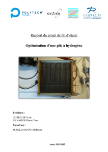 Rapport de PFE