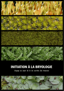 Initiation à la Bryologie (Sébastien Leblond et