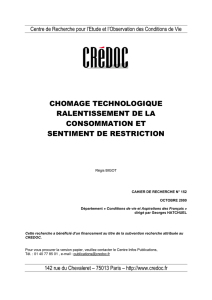 CHOMAGE TECHNOLOGIQUE RALENTISSEMENT DE LA