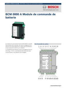 BCM 0000 A Module de commande de batterie