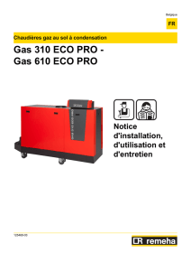 Gas 310 ECO PRO - Gas 610 ECO PRO