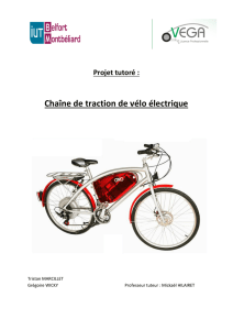 Vélo électrique - La licence pro VEGA