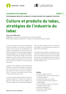 Culture et produits du tabac, stratégies de l`industrie du tabac