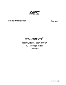 APC Smart APC Smart-UPS