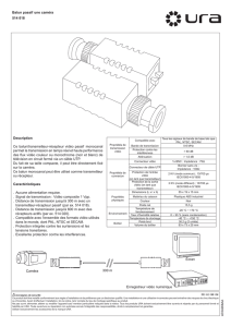 Description Ce balun/transmetteur-récepteur vidéo passif